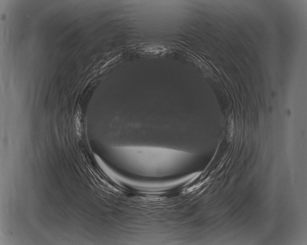 X0000083571394200702091042