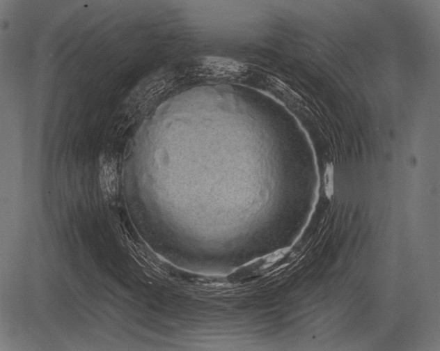X0000083571395200702091042