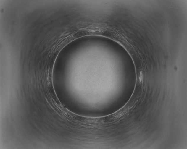 X0000083571396200702091042