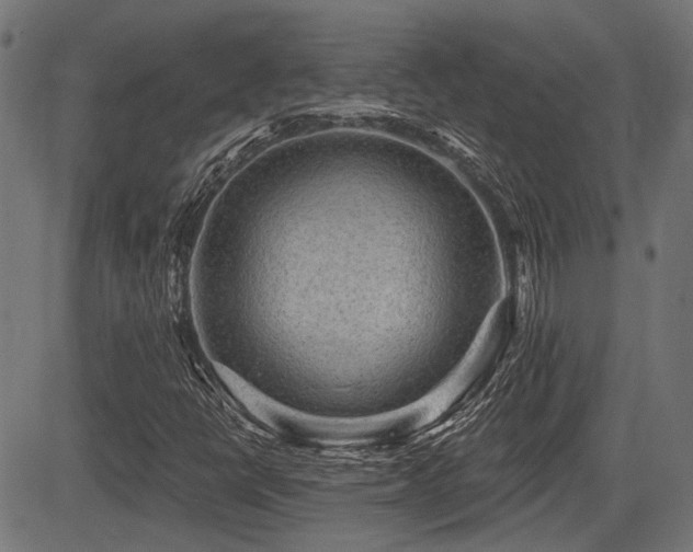 X0000083571398200702091042