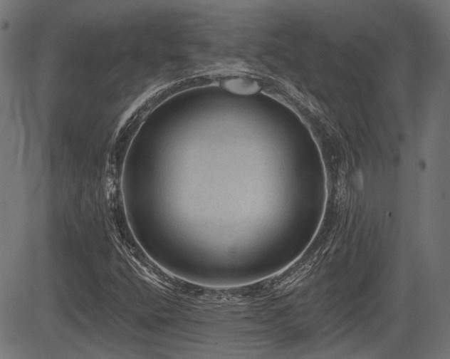 X0000083571400200702091042