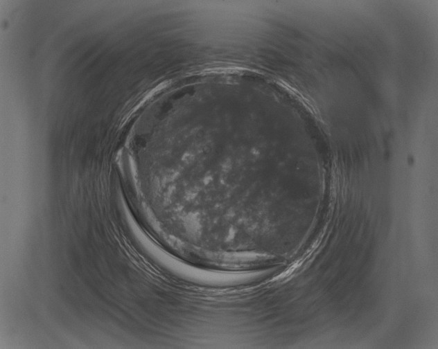 X0000083571401200702091042