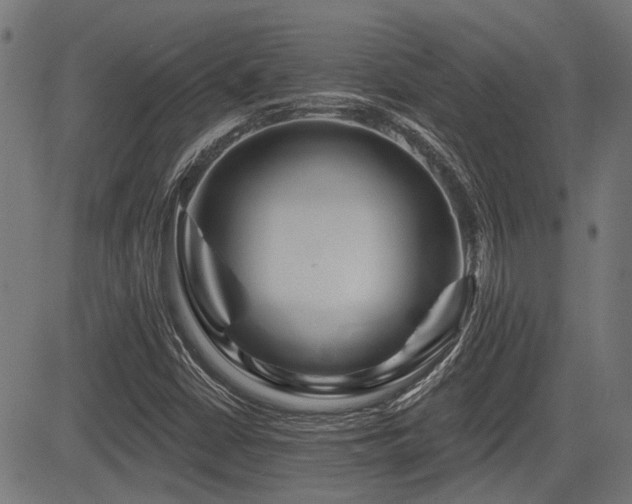 X0000083571402200702091042