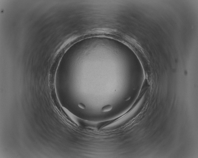 X0000083571404200702091042