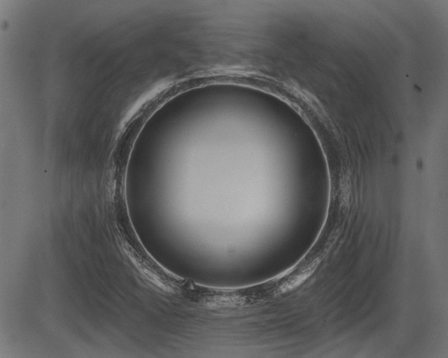 X0000083571406200702091042