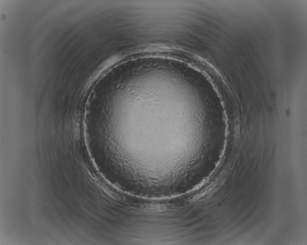 X0000083571409200702091042
