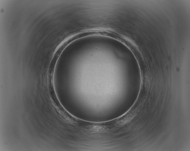 X0000083571412200702091042
