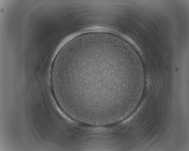 X0000083571421200702091042