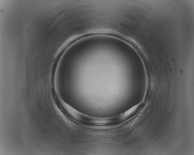 X0000083571422200702091042
