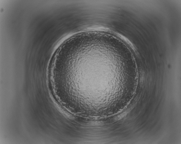 X0000083571423200702091042
