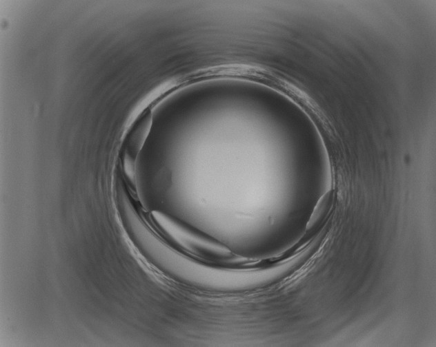 X0000083571426200702091042