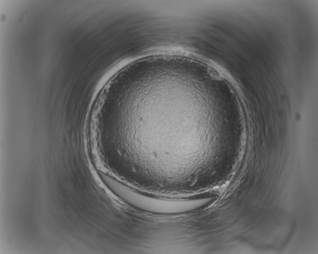 X0000083571440200702091042