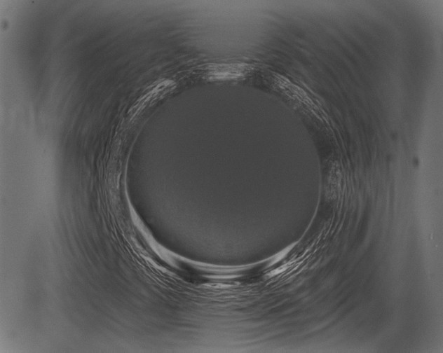 X0000083571441200702091042
