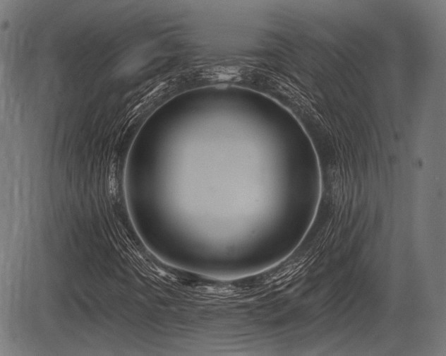 X0000083571442200702091042