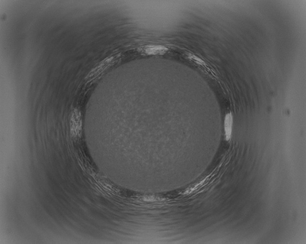 X0000083571443200702091042
