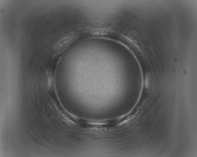 X0000083571444200702091042