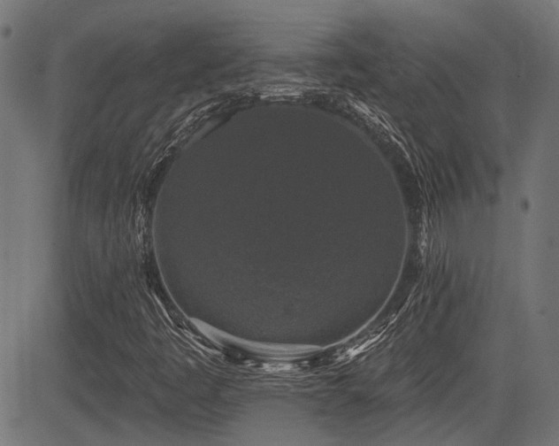 X0000083571445200702091042