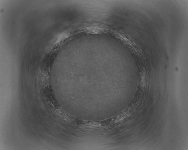 X0000083571446200702091042