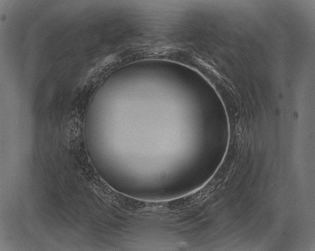 X0000083571447200702091041