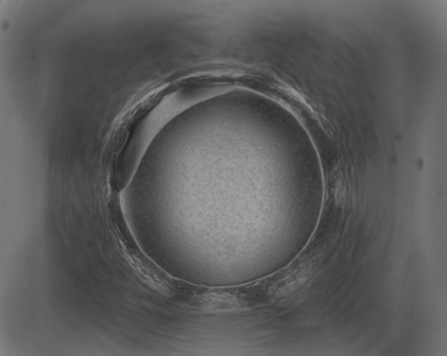 X0000083571448200702091041