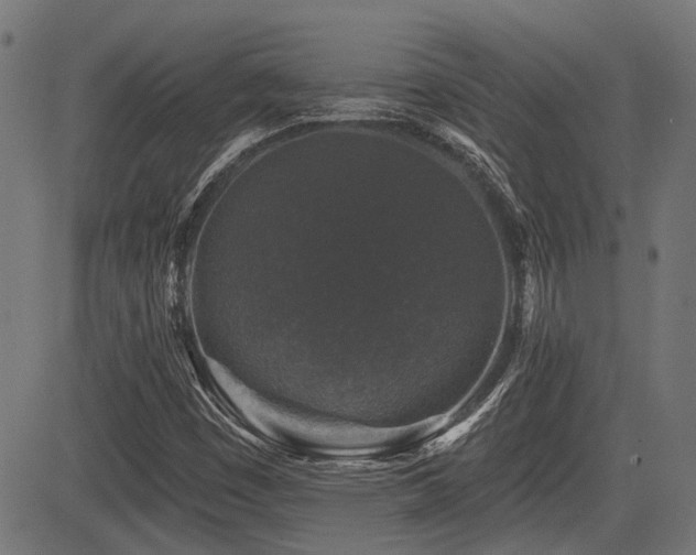 X0000083571449200702091041