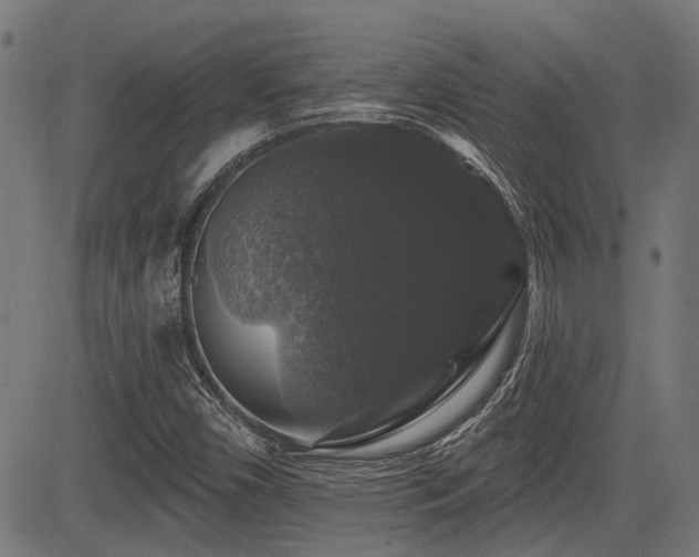 X0000083571450200702091041
