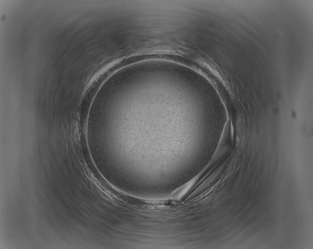 X0000083571452200702091041