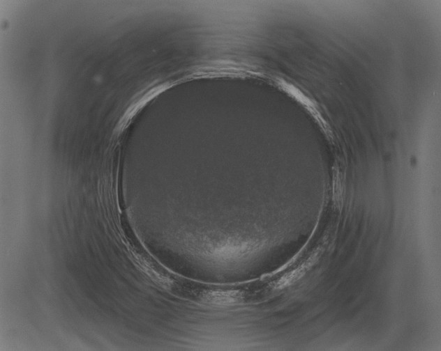 X0000083571453200702091041