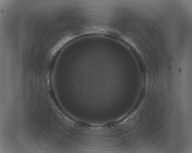 X0000083571455200702091041
