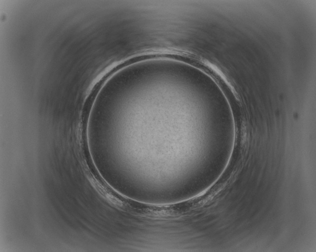 X0000083571460200702091041