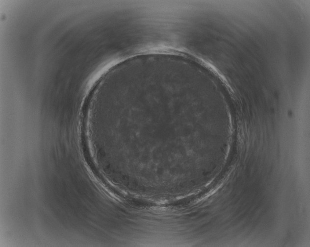 X0000083571463200702091041