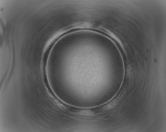 X0000083571464200702091041