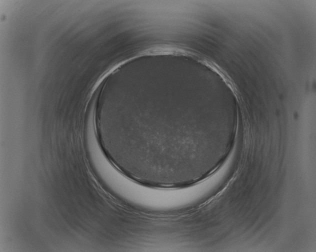 X0000083571465200702091041