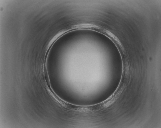 X0000083571473200702091041