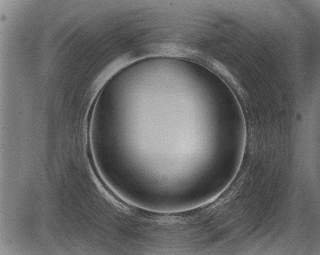 X0000083571479200702091041
