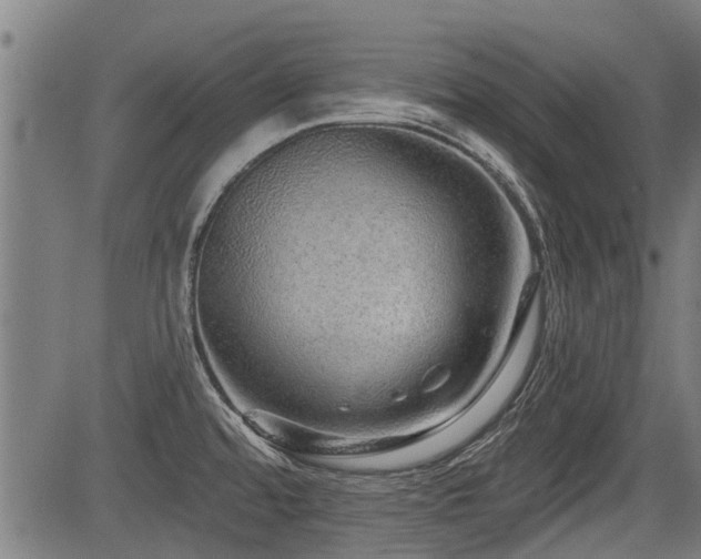 X0000083571480200702091041