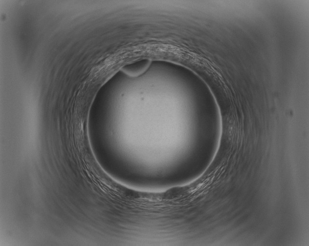 X0000083571489200702091040