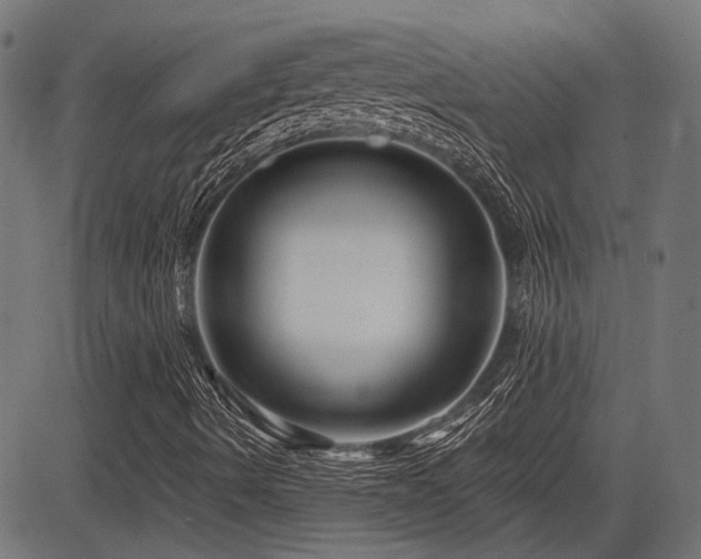 X0000083571490200702091040