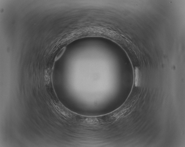 X0000083571491200702091040