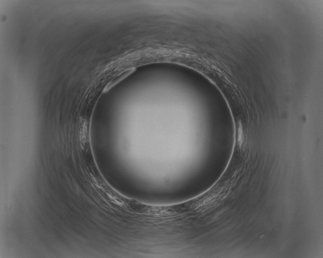 X0000083571492200702091040