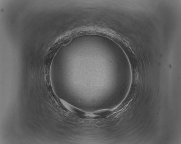 X0000083571494200702091040