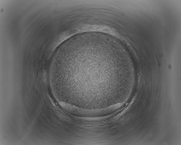 X0000083571505200702091040