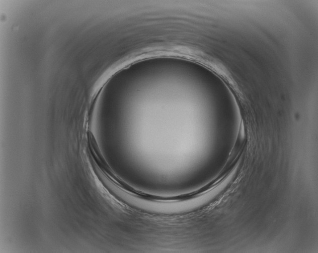 X0000083571524200702091041