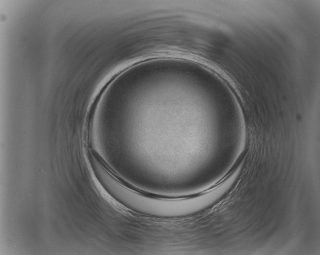 X0000083571531200702091041