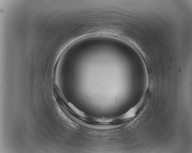 X0000083571532200702091041