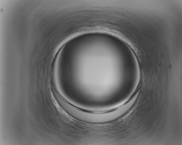X0000083571534200702091041
