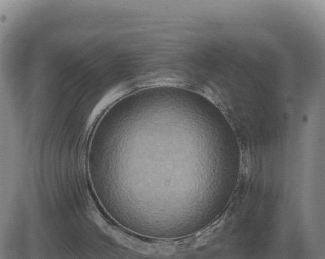 X0000083570004200702162104