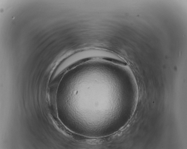 X0000083570050200702162103