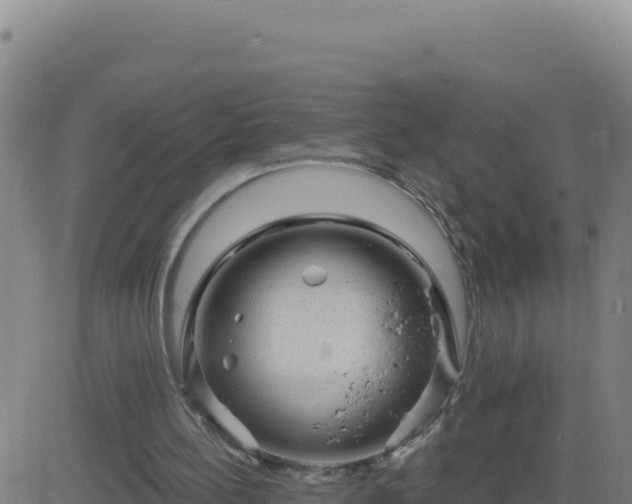 X0000083570148200702162101