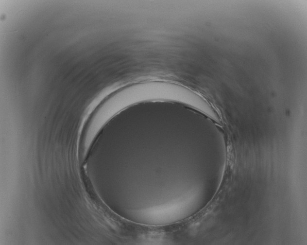 X0000083570196200702162101